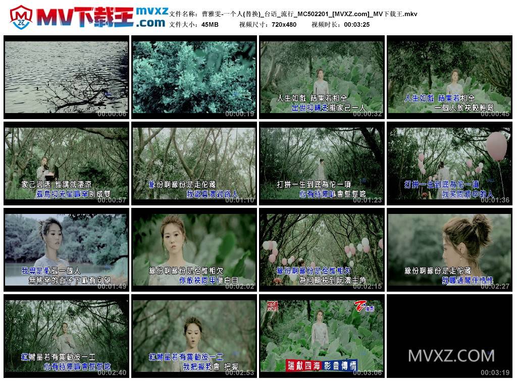 曹雅雯-一个人(替换)_台语_流行_MC502201